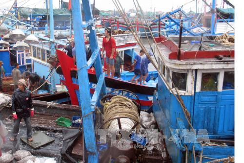 Thời tiết bất lợi, nhiều tàu thuyền của ngư dân Ninh Thuận liên tục nằm bờ 